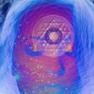 Meet your Posher, Andreia